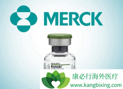 ����ʹ��PD-1���Ƽ����ư�֢����Ч�ʲ������