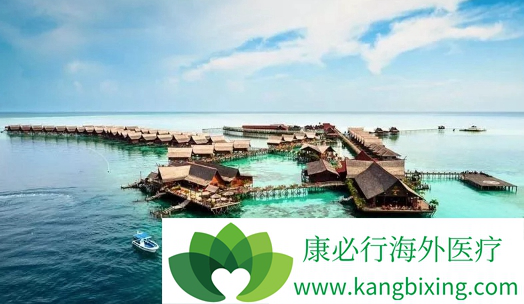 ҽ������