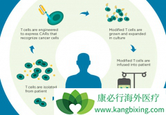 ŵ��CAR-Tϸ�����Ʒ���KYMRIAH�ĵڶ�����Ӧ֢�����׼