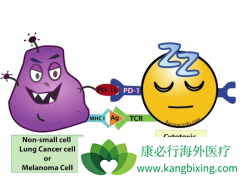 ����PD-1���Ƽ�ÿ������Ʒ��ÿ��ܲ�����ʮ��Ԫ