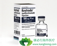 PD-1���Ƽ������Ʒ��ڳ���������չ����������ͷ