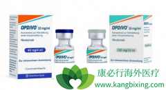 PD-1���Ƽ�Opdivo����Yervoy���ͷ�Сϸ���ΰ���������