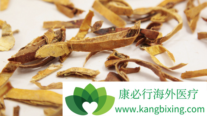 肺癌晚期偏方 肺癌晚期偏方