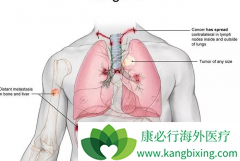 �ΰ����ڻ��ƻ�������Щʳ����Ҫ�ɿ�