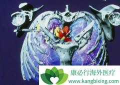 ���ڷΰ�����ǰ����Ӧ��ǿӪ����ǿ����