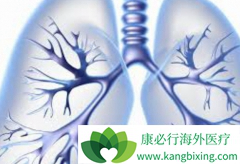 ���ڷΰ����������Ʒΰ�����Ҫ��Ч�ֶ�