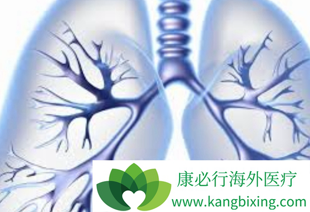 晚期肺癌 晚期肺癌