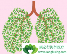 ���������ڷ�Сϸ���ΰ����Ʒ���Ч���Ƚ�