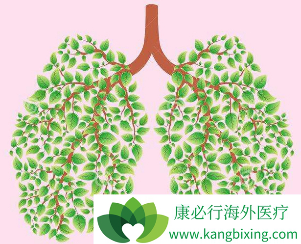 肺癌化疗方案 肺癌化疗方案