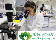 Cellectis�����翪ʼ���ּ�����CAR-Tϸ���Ʒ��Ĺ�˾֮һ