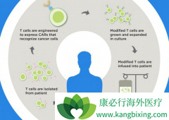 ������CAR-Tϸ�����Ʒ�������Щ�ŵ㣿