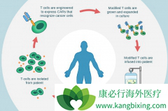 ����CAR-Tϸ�������봫ͳ��CAR-T�Ʒ��к�����