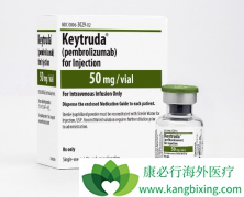 PD-1����Keytruda���ϻ��������ٴ�����ɹ���ɷ��۰���ѡ����