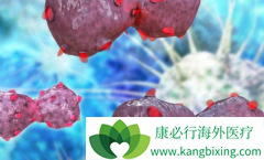 ��������ҩ����Ŀǰ���Ʒΰ����·���