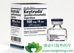 ���׿�����ҩKeytruda��PD-1��Ͽ��������ϸ��������