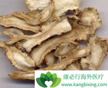 ��׼����ʱ������ҩ���Ʒΰ��°빦��