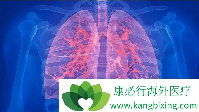 肺癌晚期 肺癌晚期