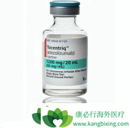 PD-L1���Ƽ�atezolizumab���ת����NSCLC��Ӧ֢