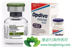 ΢���ǲ��ȶ��Ļ���ʹ��PD-1���Ƽ�����Ч����