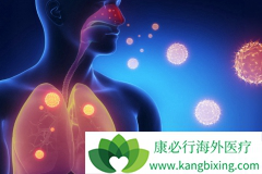 ���������Ƽ������٤�굶���Ʒΰ���������Щ