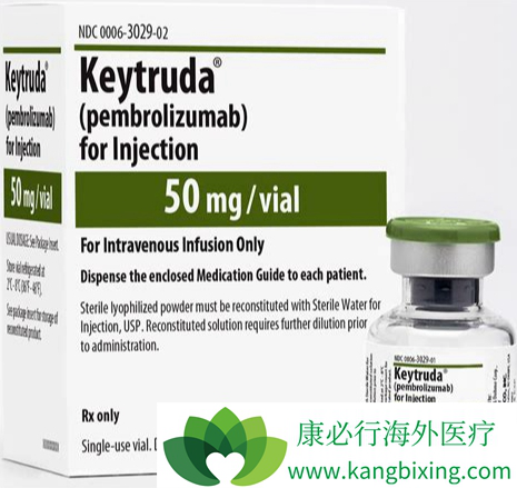 pembrolizumab pembrolizumab