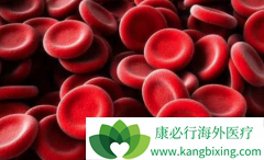 ��ɼ�����Ʒΰ��ĳ���������Ӧ����Щ