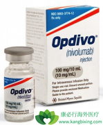 PD-1���Ƽ�nivolumab��Opdivo���������ڸ�ϸ������ʾ���˳־���Ч��
