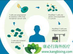 ȥ�����е�����CAR-Tϸ�����Ʒ������ذ���֢�����Ʒ�