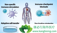 ĳ�̶ֳ��Ͽ�CAR-Tϸ�������Ʒ��ķ��ò�����