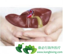 Ҹα濹ʲô˼ν