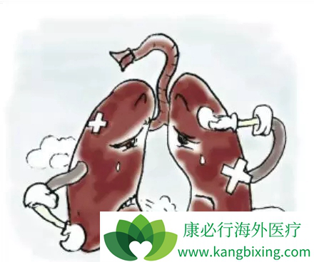 晚期肺癌治疗 晚期肺癌治疗