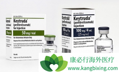 pembrolizumab�ɳ�ΪPD-L1�߱�������NSCLC����һ�����Ʒ���