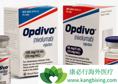 PD-1���Ƽ�nivolumab��pembrolizumab�ɵ��²��ֻ��߳��ַ���