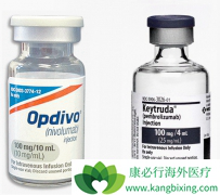 PD-1���Ƽ�Keytruda�ڷ�Сϸ���ΰ����������ö����Ӧ֢