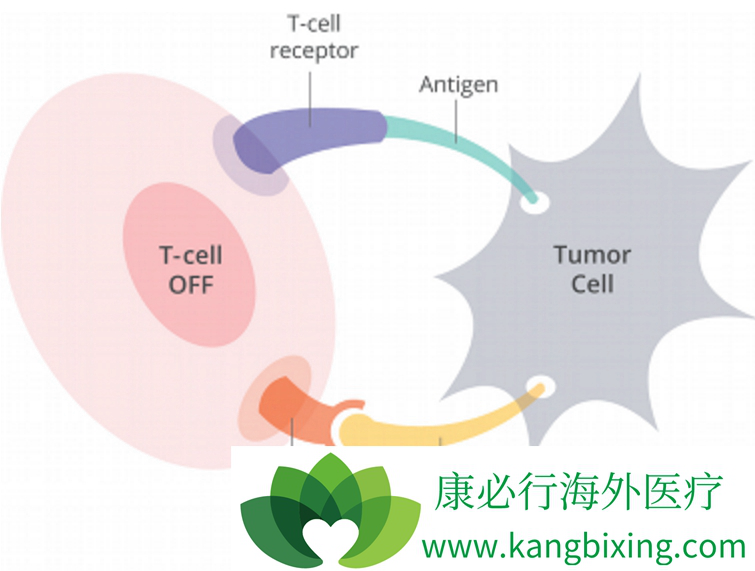 1526885037379583.png blob.png