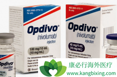 PD-1���Ƽ�nivolumab������С����չ���԰�����