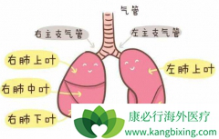 ѪҺ��������ڷΰ���õ����Ʒ���