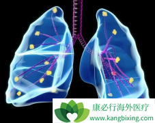 ���ڷΰ��������ƿ�Ѹ���޸����������ϵͳ