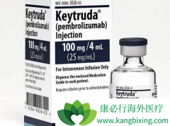 PD-1���Ƽ���ķ����һ�����Ʊȱ�׼����Ч����