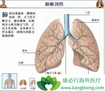 �ΰ����Ʒ�������Щ�Լ��ΰ�����Ӧ��ע�������