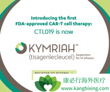 �����ڴ�ŵ�����µ�CAR-Tϸ�����Ʒ�����������ʵ����