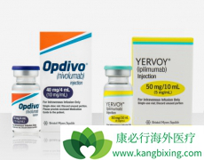PD-1���Ƽ�Opdivo����Yervoy�ڶ����֢�����з�������