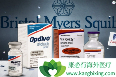 PD-1���Ƽ�Opdivo����Yervoy��Ϊ�����֢����ѡ���Ʒ���