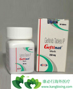 �ΰ������ڼ������ᣨGEFITINIB�������ڼ���ν�����Ƥ��
