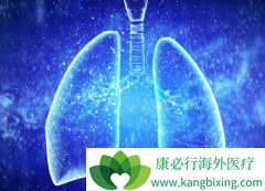 ���ڷΰ�ת�ƻ�������������Щ��ʹ