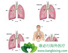 �˽����ڷΰ�֢״���Ծ����������߼���ʹ��