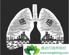 �������Ʒΰ����κ���������������Щ��