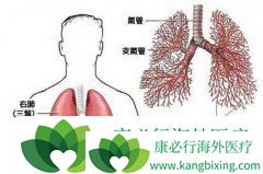 �ΰ�������ǰ֢״��Ҫ����Щ����