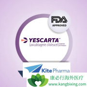 ���Ի���CAR-Tϸ�����Ʒ��������켫�䷱���Ĺ���