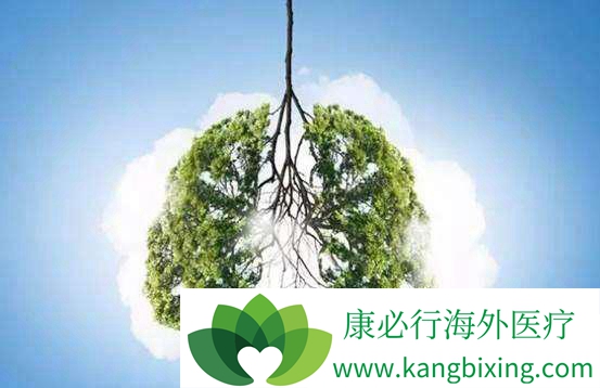 肺癌手术费用多少 肺癌手术费用多少